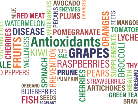 Introduction of Bauer Nutrition products nutritional mind map