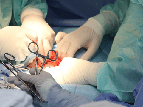 Post-Surgery Recovery Tips You Need to Know surgery